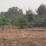  Land for sale in Yu Wa, San Pa Tong, Yu Wa