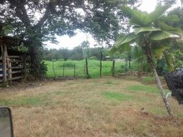  Grundstück zu verkaufen in Golfito, Puntarenas, Golfito