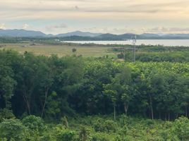  Land for sale in Phangnga, Mueang Phangnga, Phangnga