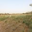  Land for sale at Madinat Al Riyad, Baniyas East, Baniyas, Abu Dhabi