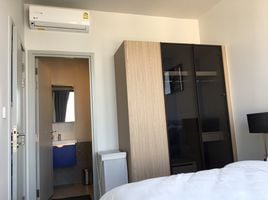 2 Schlafzimmer Wohnung zu vermieten im XT Ekkamai, Khlong Tan Nuea