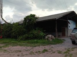  Grundstück zu verkaufen in Li, Lamphun, Si Wichai