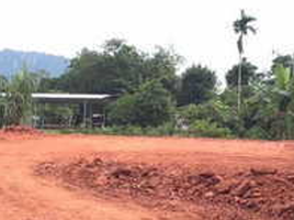  Land for sale in Surat Thani, Makham Tia, Mueang Surat Thani, Surat Thani