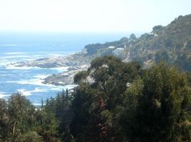  Grundstück zu verkaufen im Zapallar, Puchuncavi, Valparaiso, Valparaiso