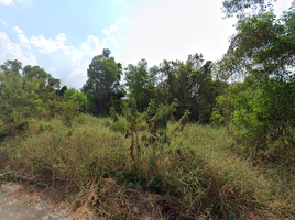  Land for sale in Pathum Thani, Chiang Rak Noi, Sam Khok, Pathum Thani