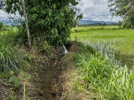  Grundstück zu verkaufen in Mae Rim, Chiang Mai, Khi Lek, Mae Rim