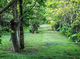  Land for sale in Chiang Mai, Khi Lek, Mae Taeng, Chiang Mai