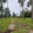  Land for sale in Khanom, Nakhon Si Thammarat, Khanom
