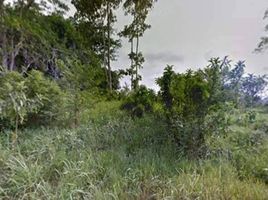  Land for sale in Phuket International Airport, Mai Khao, 