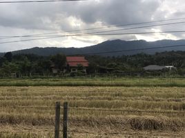 3 Schlafzimmer Haus zu verkaufen in Mae Rim, Chiang Mai, Huai Sai