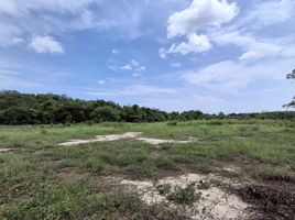  Grundstück zu verkaufen in Mueang Rayong, Rayong, Taphong, Mueang Rayong