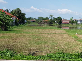  Grundstück zu verkaufen in Mueang Lamphun, Lamphun, Wiang Yong, Mueang Lamphun
