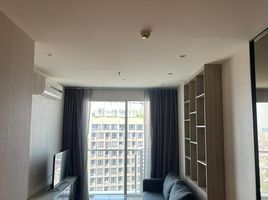 1 Schlafzimmer Appartement zu vermieten im Sky Walk Residences, Phra Khanong Nuea, Watthana, Bangkok, Thailand