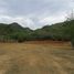  Land for sale in Prachuap Khiri Khan, Sam Roi Yot, Sam Roi Yot, Prachuap Khiri Khan