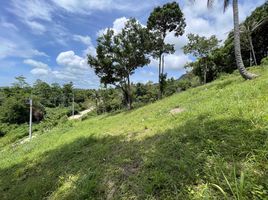  Grundstück zu verkaufen in Koh Samui, Surat Thani, Maenam