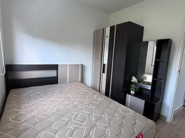 3 Schlafzimmer Haus zu vermieten im Pruksa Ville Thalang-Thepkasattri, Thep Krasattri