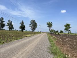  Grundstück zu verkaufen in Nong Muang, Lop Buri, Dong Din Daeng, Nong Muang