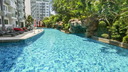 รูปถ่าย 1 of the Communal Pool at คลับ รอยัล