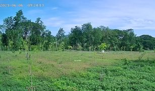N/A Grundstück zu verkaufen in Samo Khon, Tak 