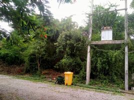  Land for sale in Cha-Am, Phetchaburi, Bang Kao, Cha-Am