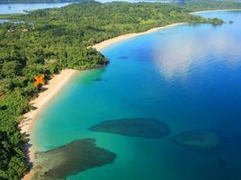 2 Bedroom Condo for sale at Red Frog Beach Island Resort, Bastimentos, Bocas Del Toro, Bocas Del Toro