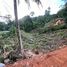  Grundstück zu verkaufen in Thalang, Phuket, Sakhu