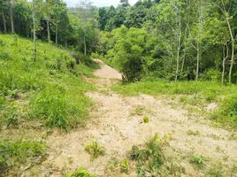 ขายที่ดิน ใน ถลาง ภูเก็ต, เชิงทะเล, ถลาง, ภูเก็ต