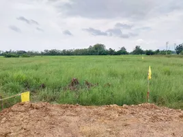  Grundstück zu verkaufen in San Kamphaeng, Chiang Mai, Buak Khang