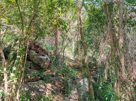  Land for sale in Maret, Koh Samui, Maret