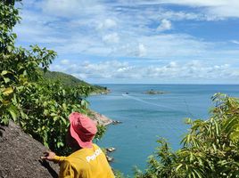  Grundstück zu verkaufen in Ko Pha-Ngan, Surat Thani, Ban Tai, Ko Pha-Ngan