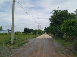  Grundstück zu verkaufen in Huai Krachao, Kanchanaburi, Wang Phai