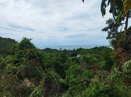  Land for sale at Emerald Bay View, Maret, Koh Samui, Surat Thani