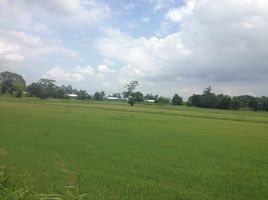  Grundstück zu verkaufen in Ban Na, Nakhon Nayok, Ban Phrik, Ban Na