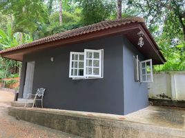 ขายบ้านเดี่ยว 4 ห้องนอน ใน ถลาง ภูเก็ต, สาคู