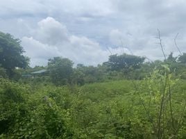  Land for sale in Chiang Mai International Airport, Suthep, Mae Hia