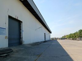  Warehouse for rent in Thailand, Bang Pakong, Bang Pakong, Chachoengsao, Thailand