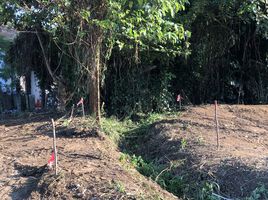  Land for sale in Nakornping Hospital, Don Kaeo, Don Kaeo