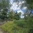  Land for sale in Doi Saket Chiang Mai, Choeng Doi, Doi Saket, Chiang Mai