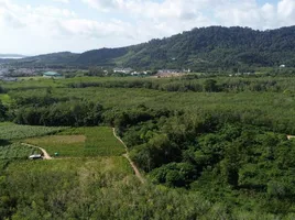  Land for sale in Bang Khu junction (Bypass), Ko Kaeo, Ko Kaeo