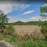  Land for sale in Saraburi, Cham Phak Phaeo, Kaeng Khoi, Saraburi