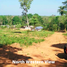  Land for sale in Thalang, Phuket, Mai Khao, Thalang