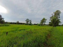  Land for sale in Phibun Mangsahan, Ubon Ratchathani, Don Chik, Phibun Mangsahan