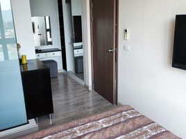 1 Bedroom Apartment for rent at Royal Lee The Terminal Phuket, Sakhu