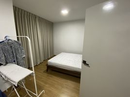 ทาวน์เฮ้าส์ 2 ห้องนอน ให้เช่า ในโครงการ พลีโน่ รังสิต, บ้านกลาง, เมืองปทุมธานี, ปทุมธานี