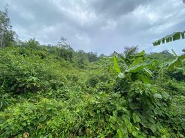  Land for sale in Sakhu, Thalang, Sakhu