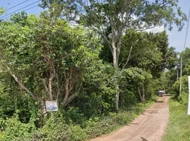 在乌汶出售的 土地, Kham Yai, Mueang Ubon Ratchathani, 乌汶