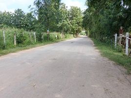  Land for sale in Kut Noi, Sikhio, Kut Noi