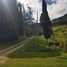 6 Schlafzimmer Villa zu verkaufen in Azogues, Canar, Rivera, Azogues, Canar, Ecuador