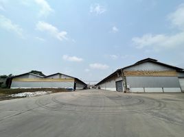  Land for sale in Samut Prakan, Bang Kachao, Phra Pradaeng, Samut Prakan