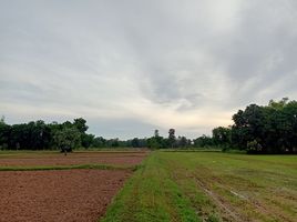  Land for sale in Si Sa Ket, Sawai, Prang Ku, Si Sa Ket